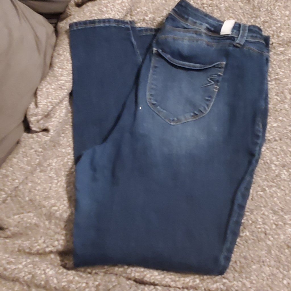 Secret Brand Pants Size 16